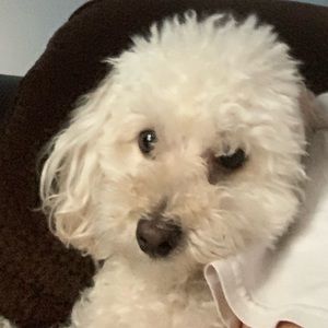 Meet your Posher, Maggie